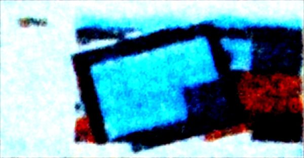 Boucle d'oreille arbre de vie : élégance et force réunies